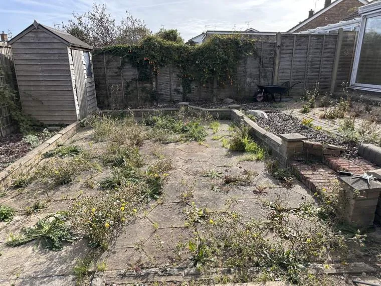 A paved back garden with dandelion, grass and willowherb growing out of every slab joint