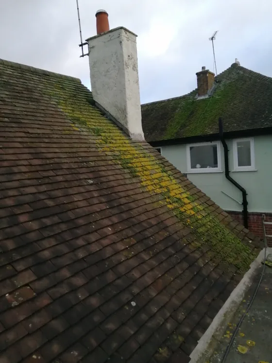 A hipped clay tile roof heavily colonised by moss and algae