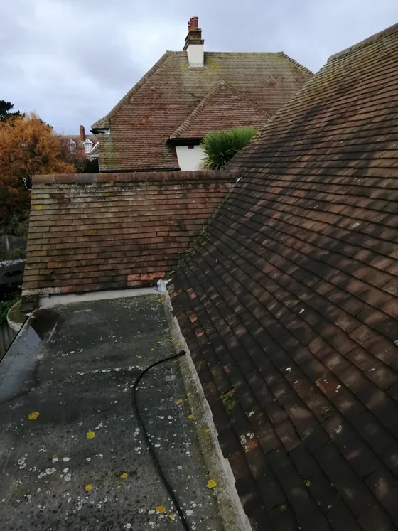 A clay tile roof slope running down to a flat roof, the tiles darkened with algae